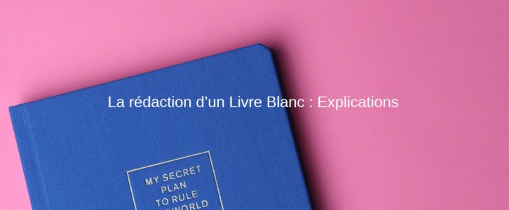 Comment rédiger un livre blanc pour acquérir des leads ?